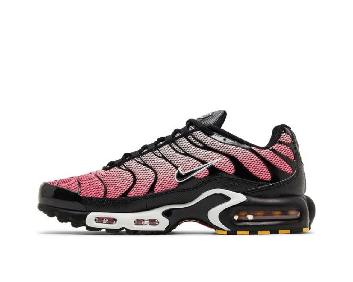 NIKE AIR MAX PLUS ‘ALL DAY’