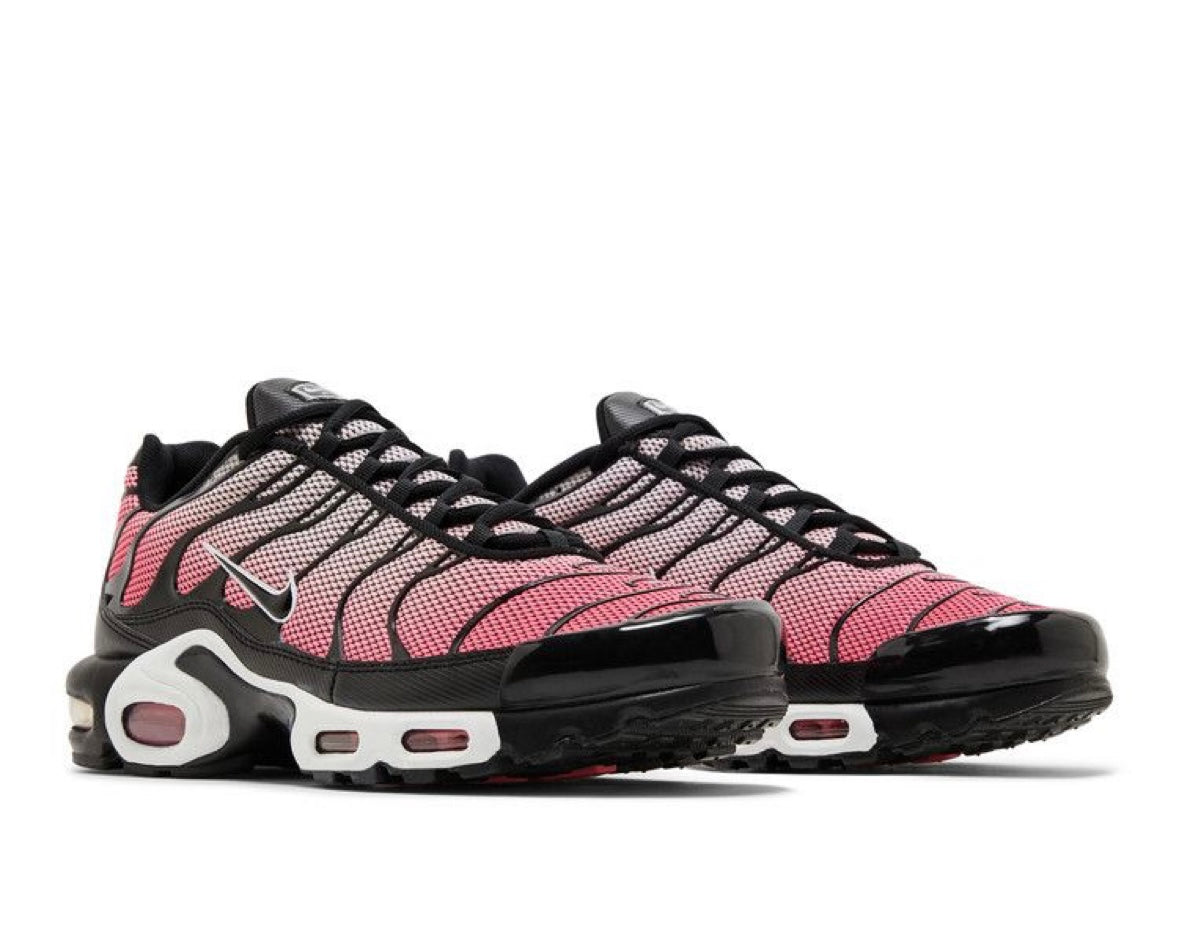 NIKE AIR MAX PLUS ‘ALL DAY’