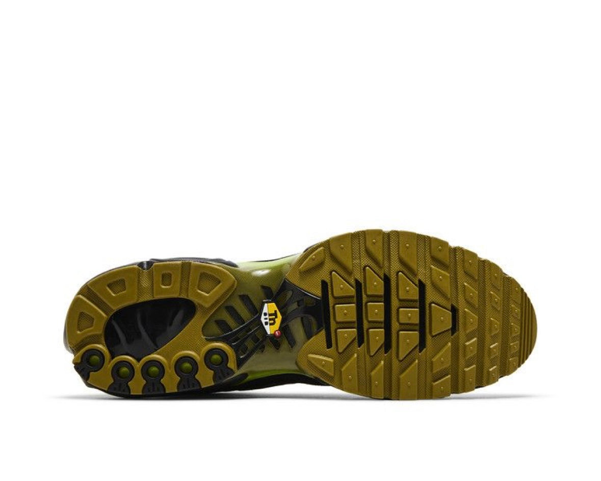 NIKE AIR MAX PLUS ‘PACIFIC MOSS’