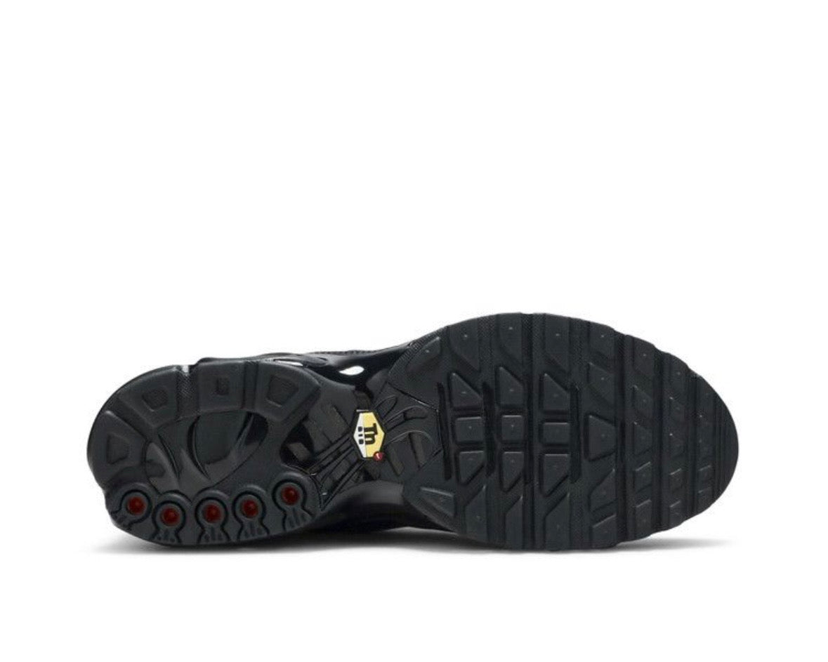 NIKE AIR MAX PLUS TN LEATHER ‘TRIPLE BLACK’