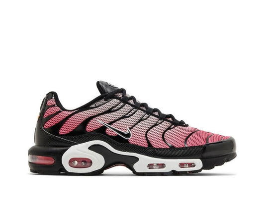 NIKE AIR MAX PLUS ‘ALL DAY’