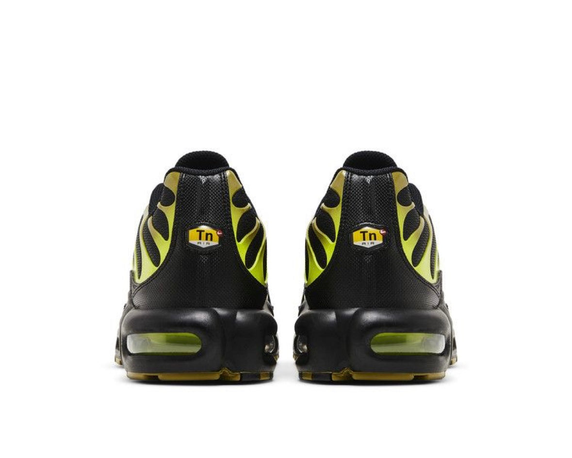 NIKE AIR MAX PLUS ‘PACIFIC MOSS’
