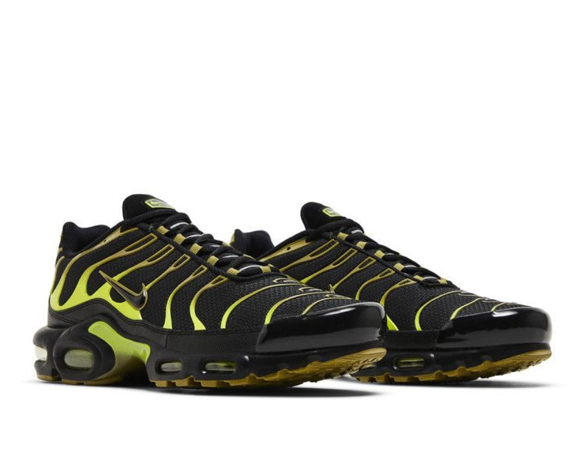 NIKE AIR MAX PLUS ‘PACIFIC MOSS’